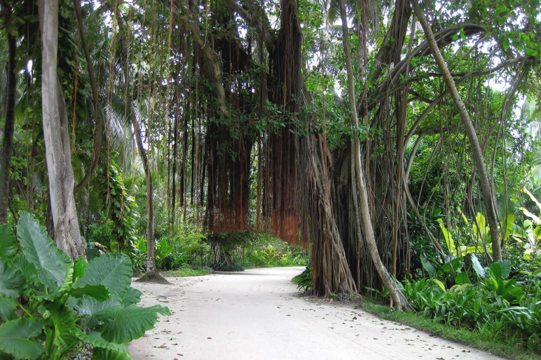 "Hauptstrasse" Kuramathi Maldives