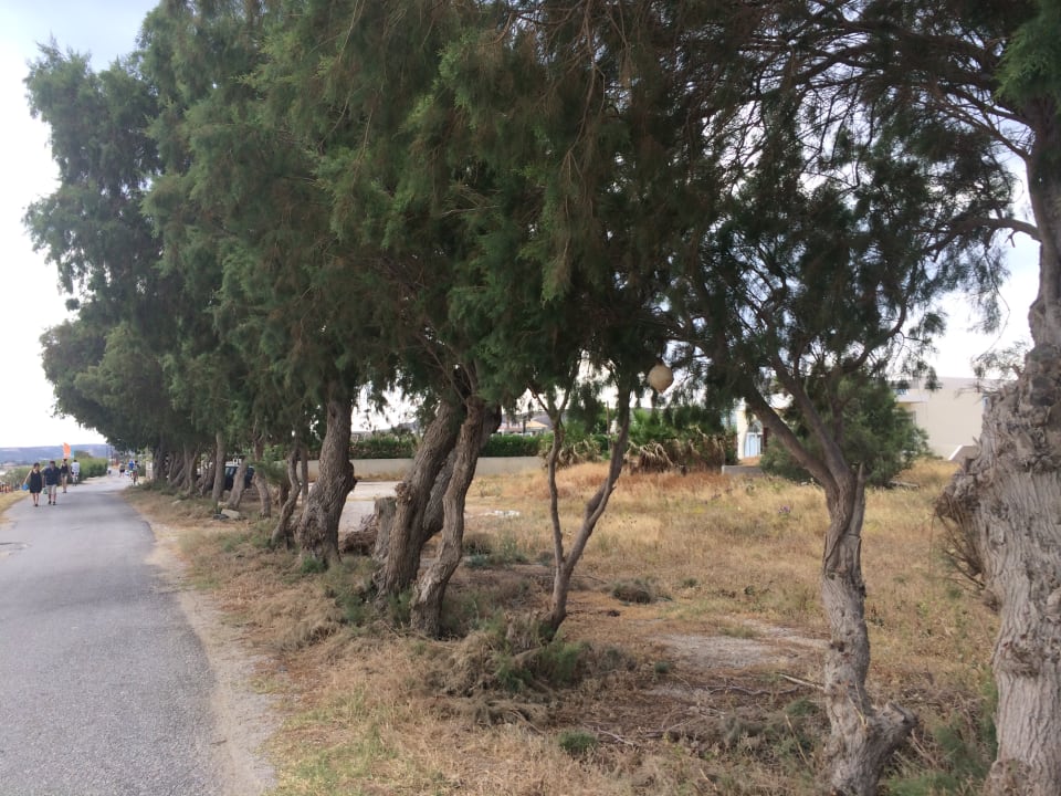 Strand Akti Palace Resort & Spa