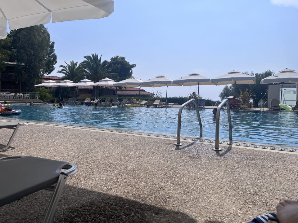 Pool Blue Dolphin Resort Hotel