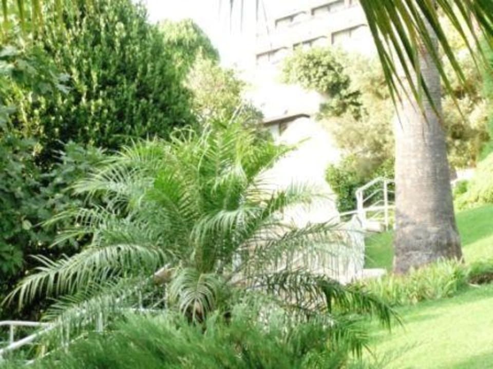 Gartenanlage Side Star Elegance