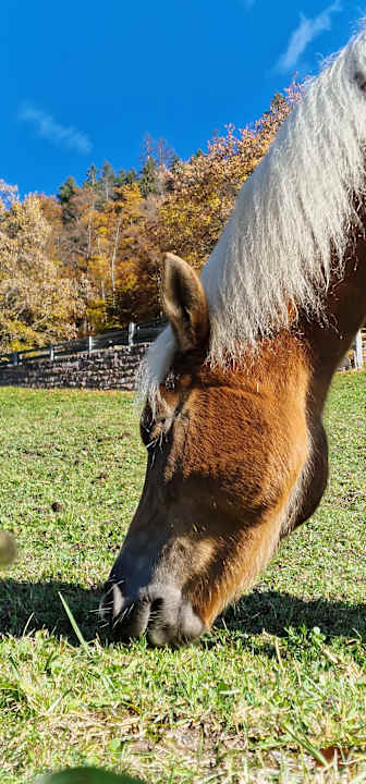 Sport & Freizeit Hotel Sulfner