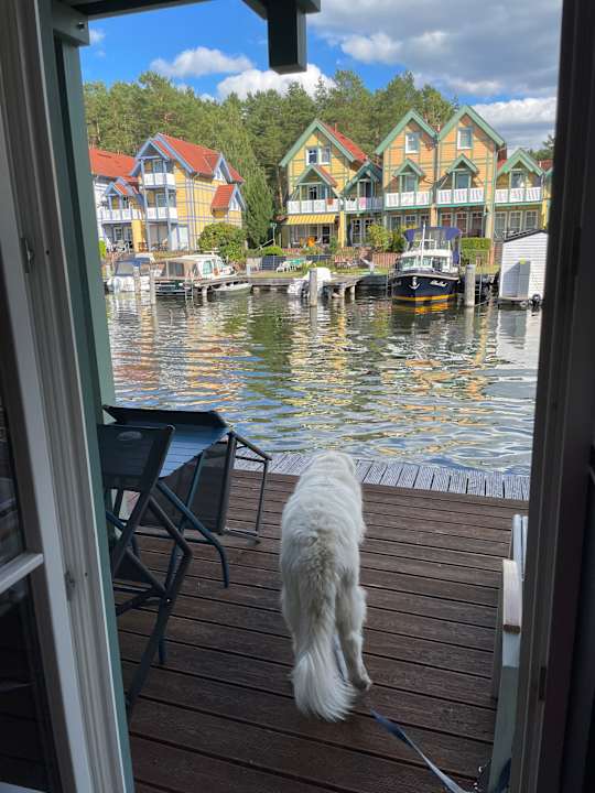 Ausblick Precise Resort Hafendorf Rheinsberg