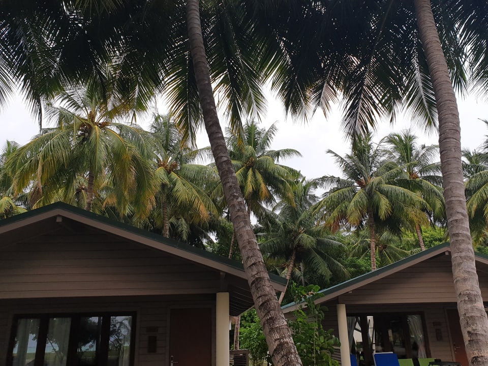 Zimmer Meeru Maldives Resort Island