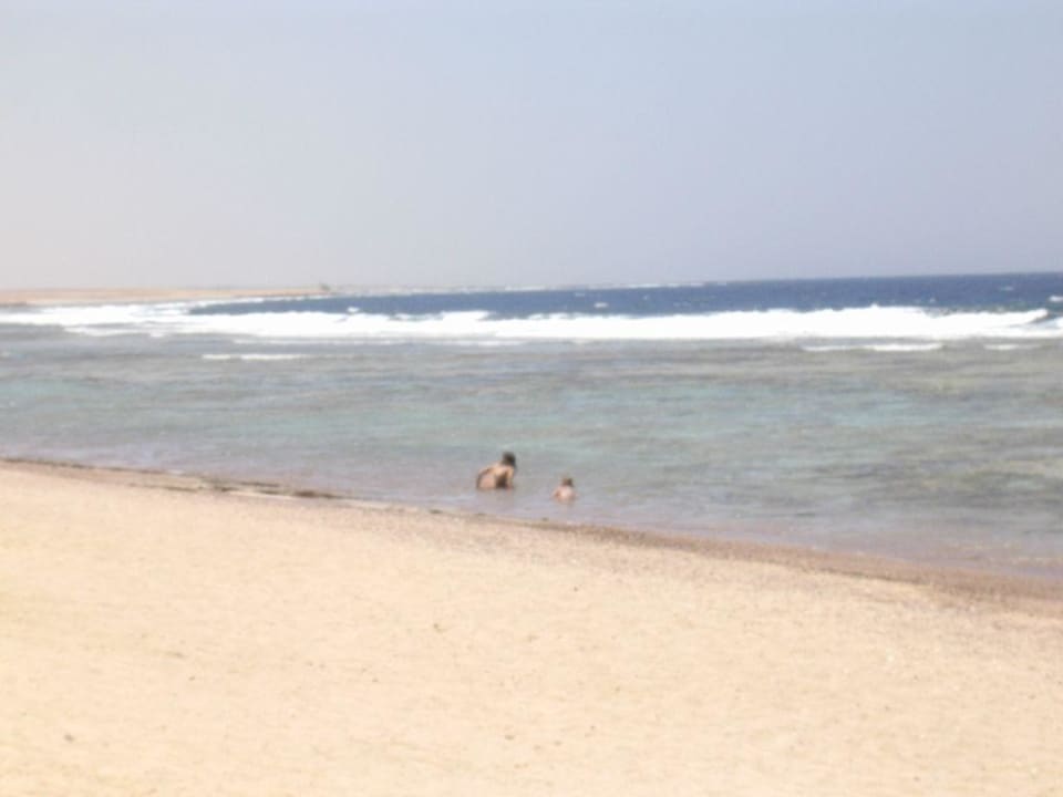 Schwimmen Three Corners Sea Beach Resort