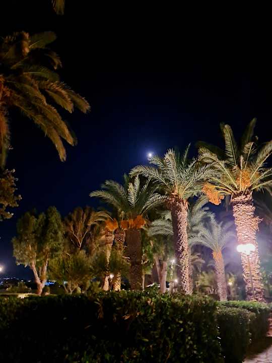 Gartenanlage Apollonia Beach Resort & Spa