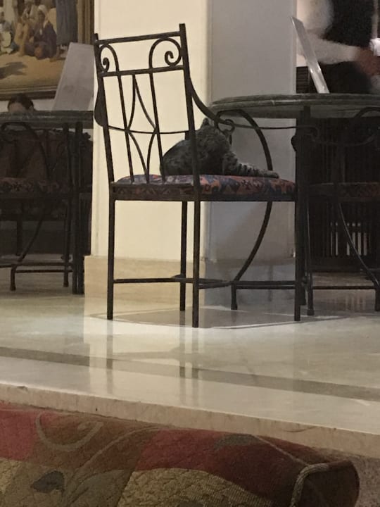 Lobby Bella Vista Resort Hurghada