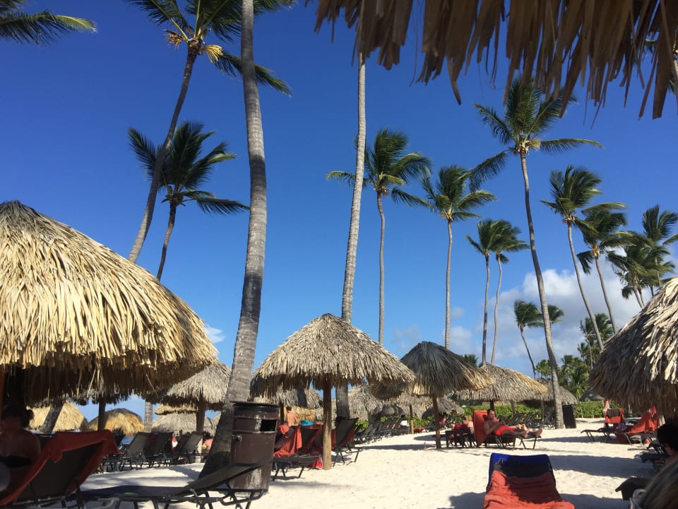 Strand Dreams Royal Beach Punta Cana