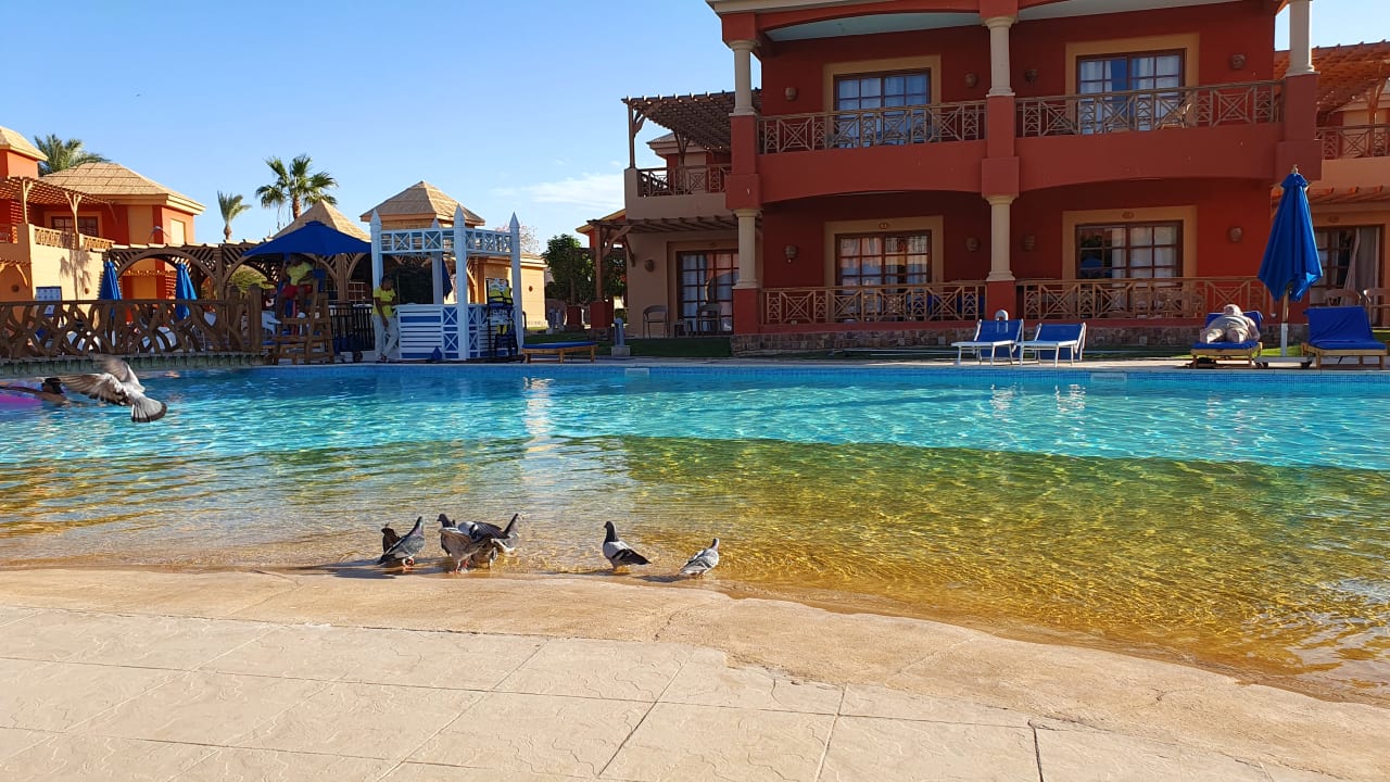 Pool Pickalbatros Alf Leila Wa Leila Resort - Neverland Hurghada