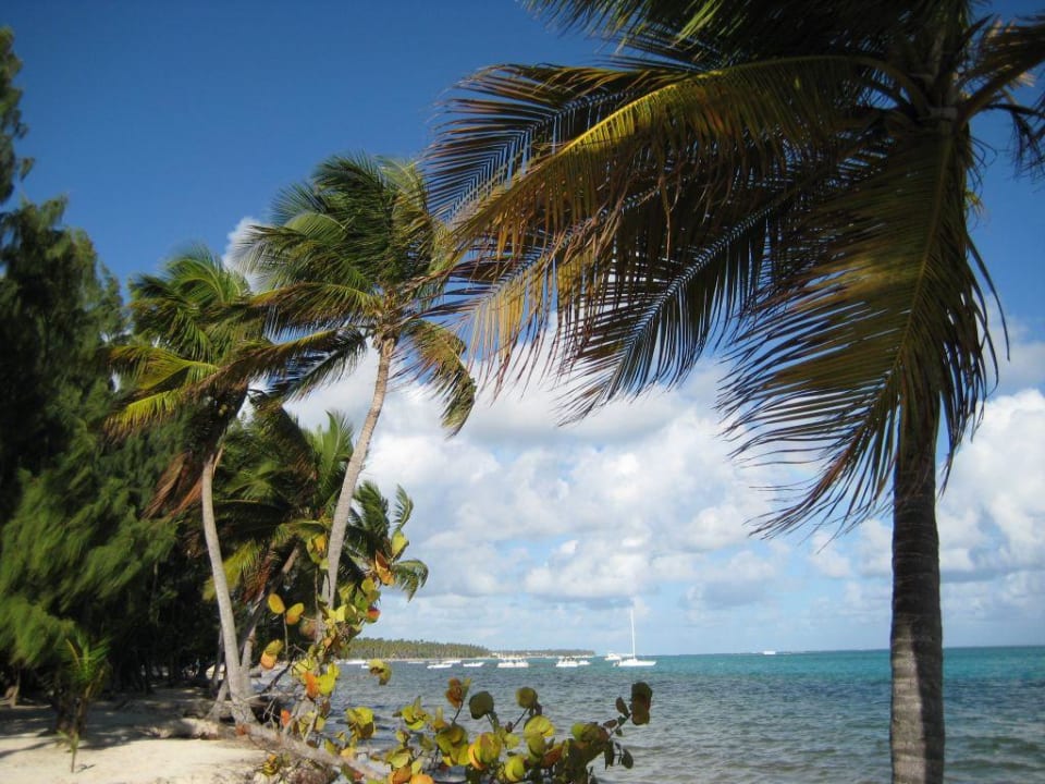 Spaziergang am Strand Barceló Bávaro Palace