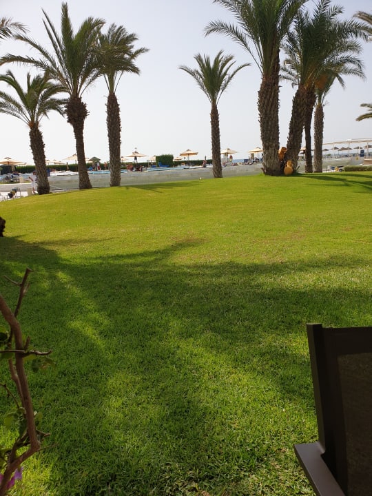 Gartenanlage Iberostar Waves Averroes