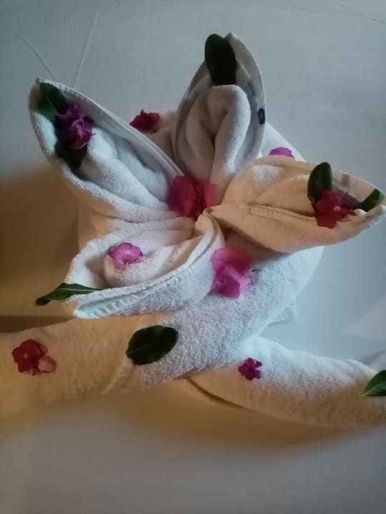 Zimmer Jaz Makadi Oasis Resort