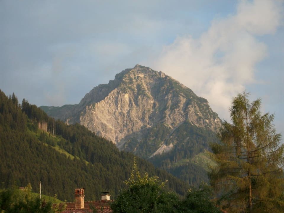 Ein Berg Ferienwohnung Hornblick