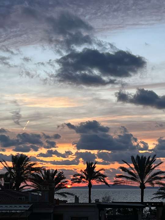 Ausblick Iberostar Selection Playa de Palma