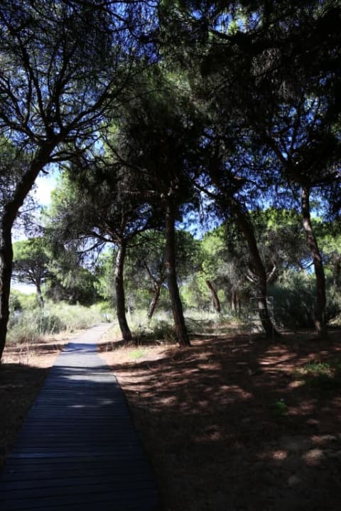 Dojście na plażę TUI BLUE Isla Cristina Palace