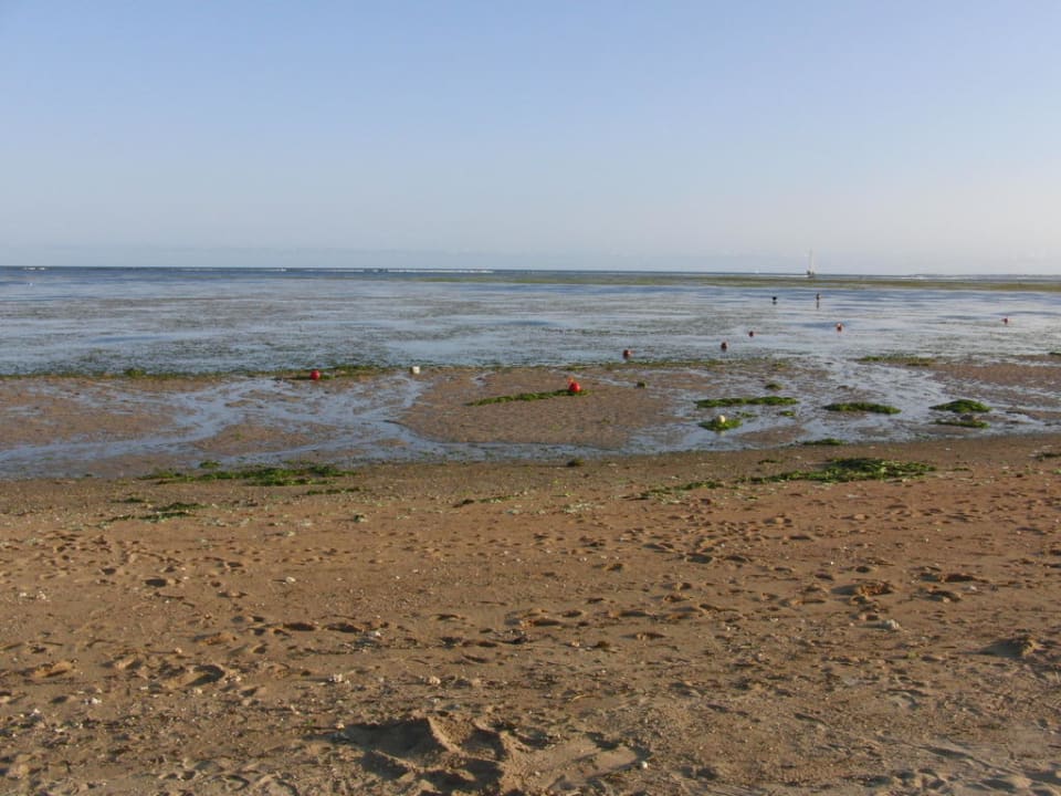 Eindrücke entlang des Hotelstrandes  Prama Sanur Beach Bali