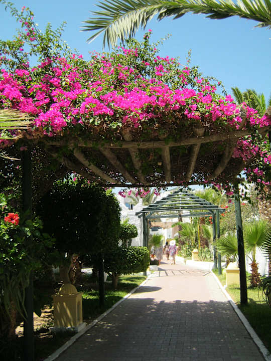 Der Weg zum Strand Hotel Nesrine