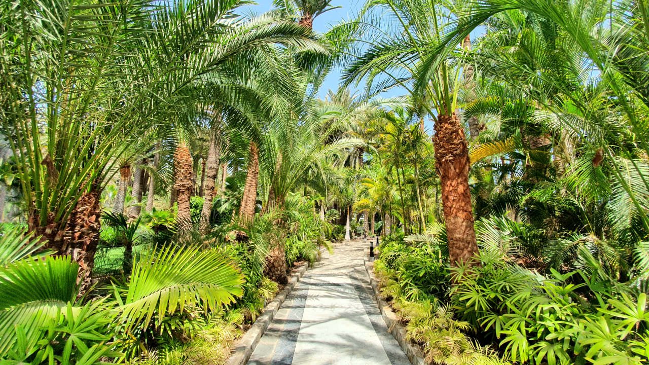 Gartenanlage Hotel Riu Palace Oasis