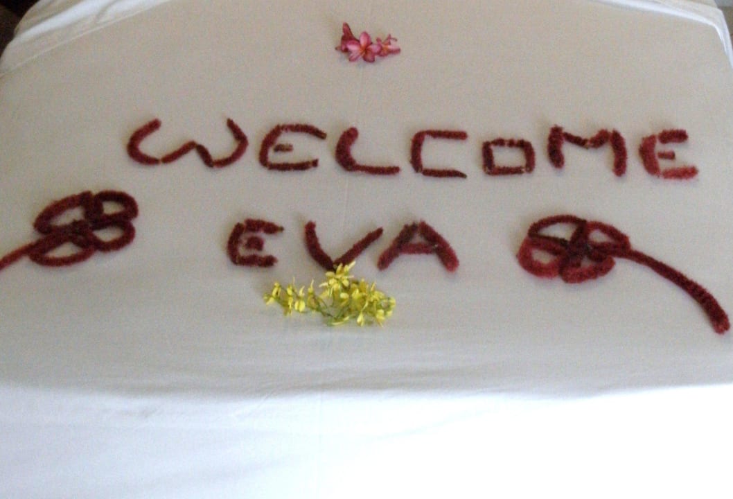 Ankunft Aida Ayurveda Resort & Spa