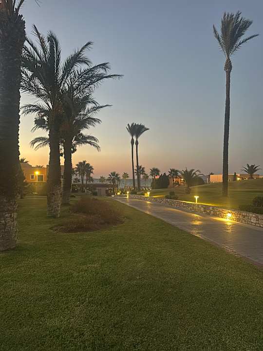 Gartenanlage Hotel Horizon Beach Resort