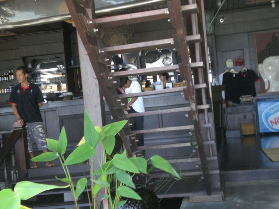 Eingangsbereich & Rezeption Hotel Salad Hut