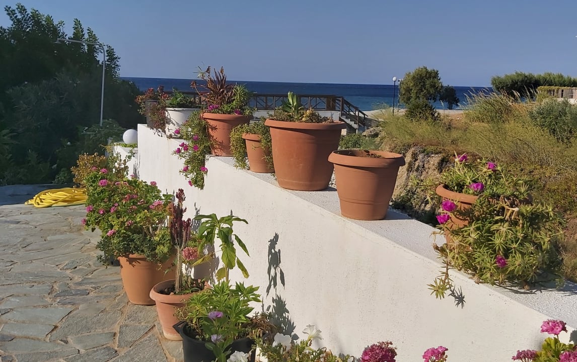 Gartenanlage Hotel South Coast