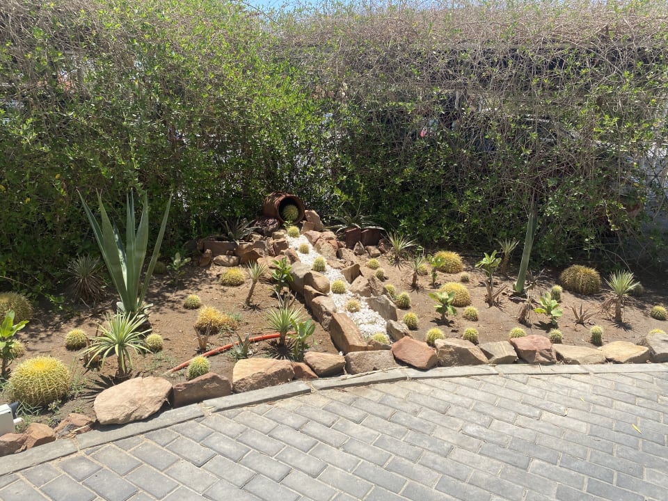 Gartenanlage Hotel JAZ Makadi Star & Spa