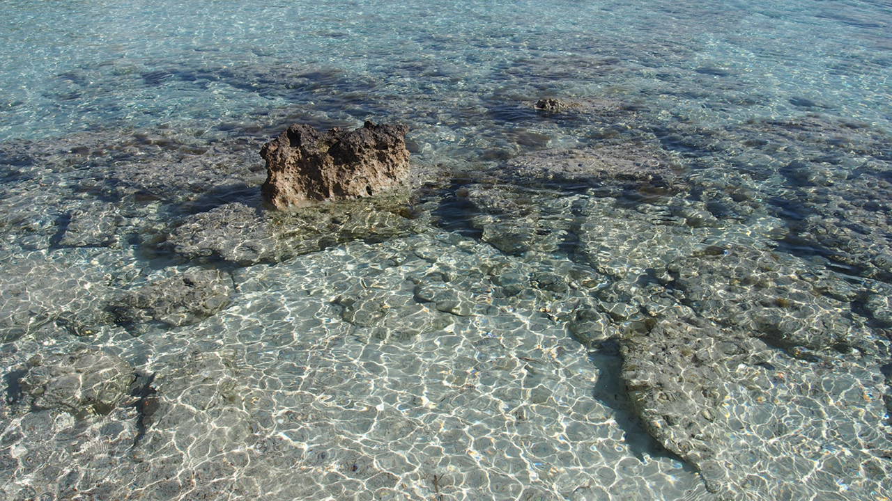 Strand Asterias Beach