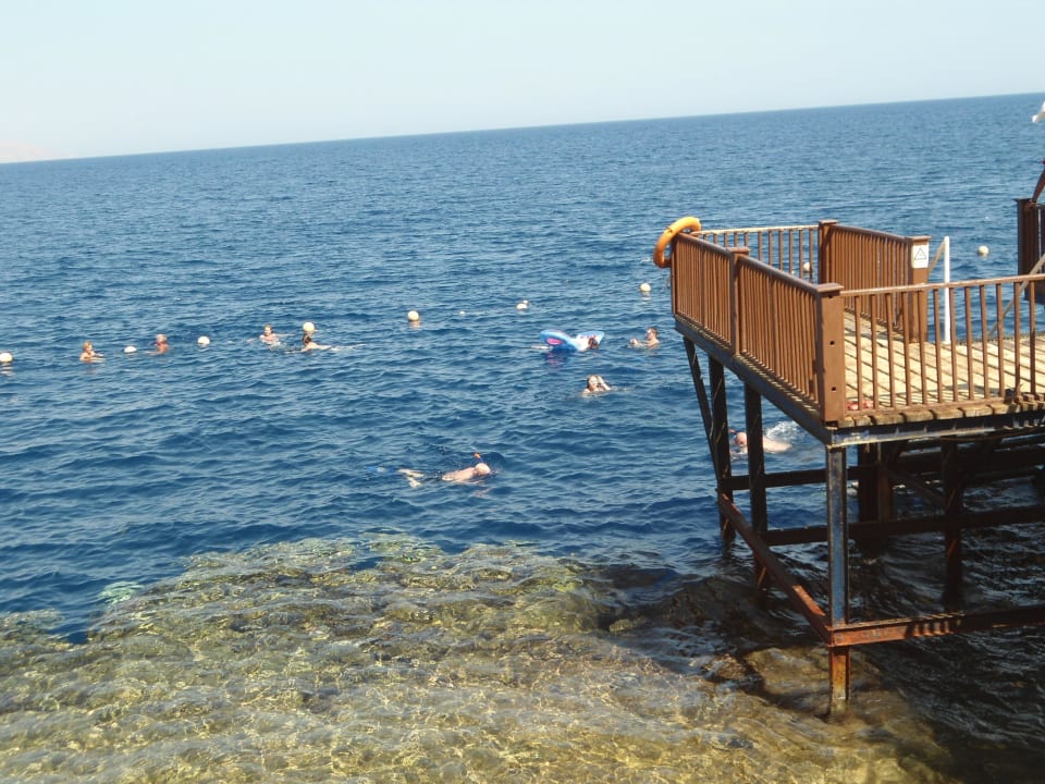 Schnorchler The Grand Hotel Sharm El Sheikh