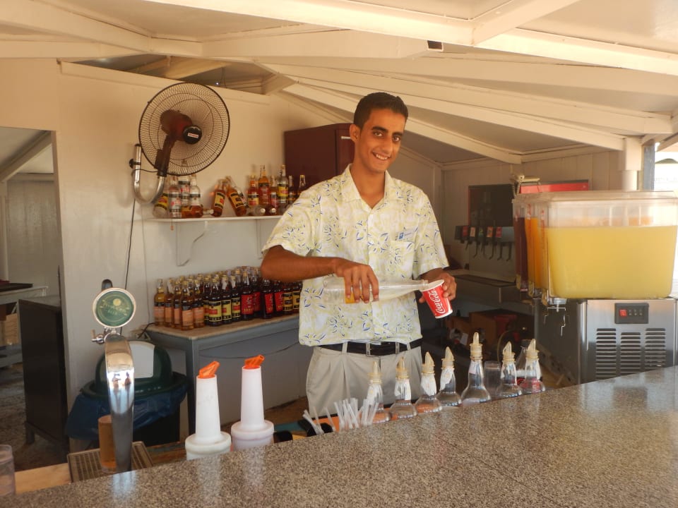 Barmann Bassem Desert Rose