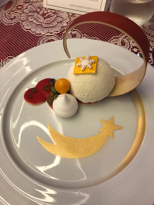 Gastro Acanthus Cennet Barut Collection