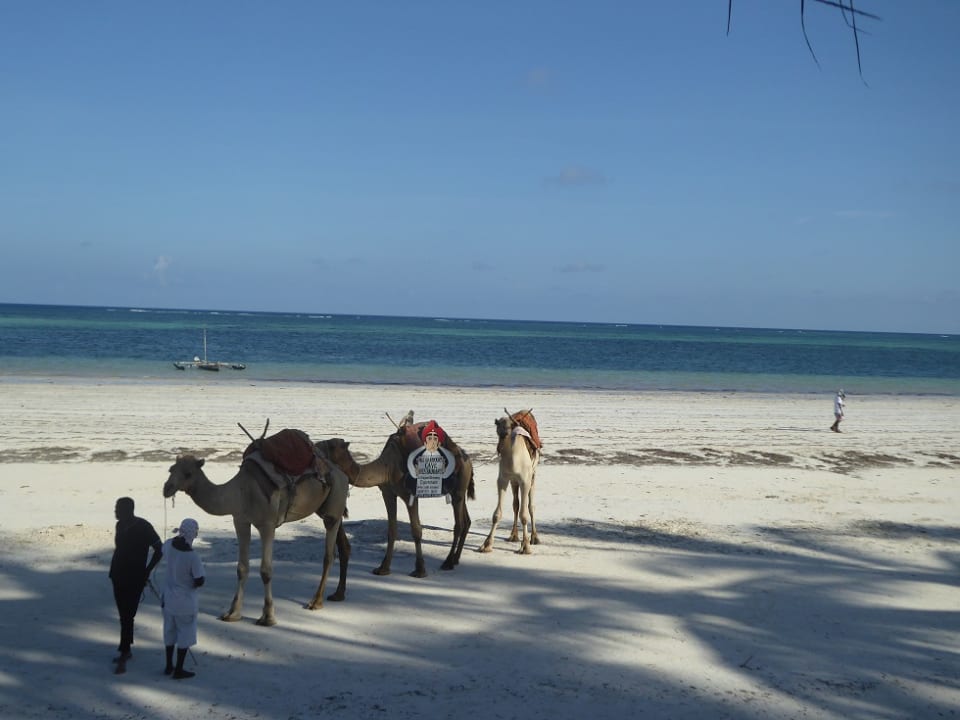 Strand Neptune Village Beach Resort & Spa
