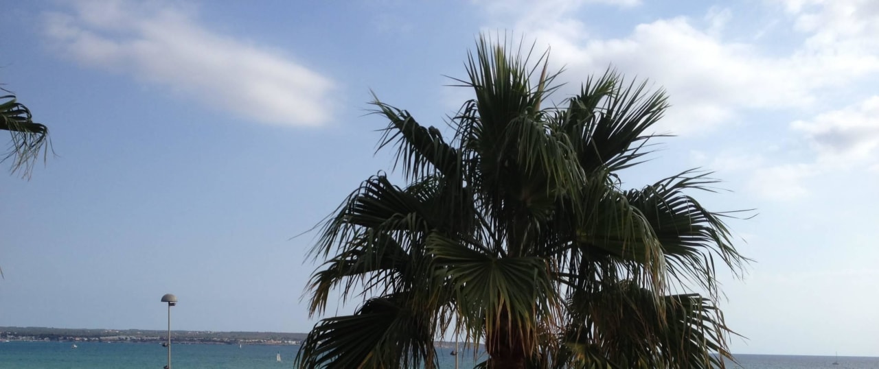 Strand Aparthotel Fontanellas Playa