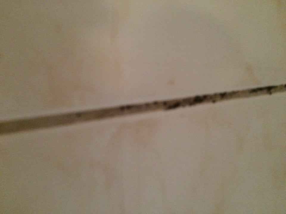 Schimmel im Bad EG - Fliesen Ferienhaus Strandhaus XXL Baabe