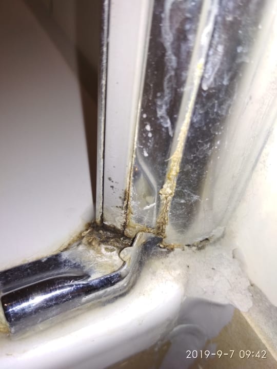 Zimmer BEECH Resort Boltenhagen