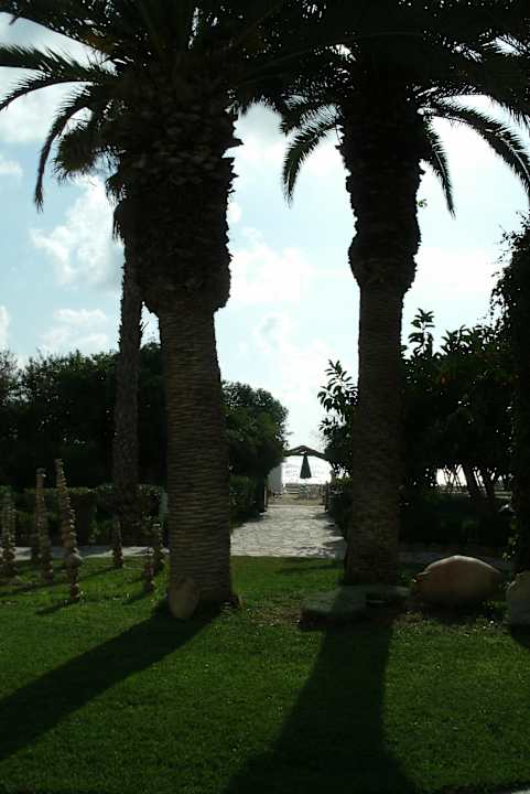 Weg zum Strand The Orangers Beach Resort and Bungalows