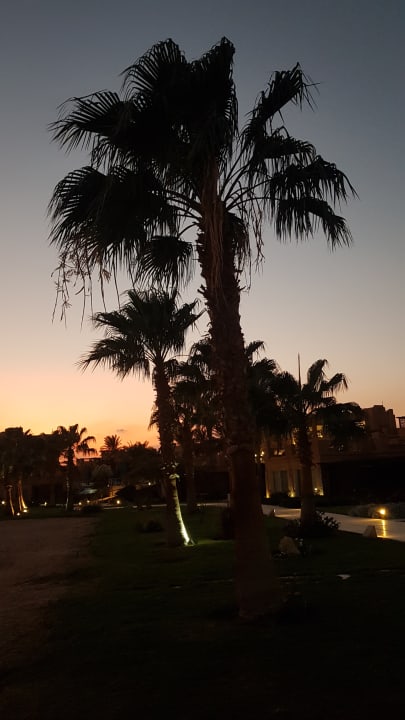 Außenansicht Shams Prestige Abu Soma-Adults Only