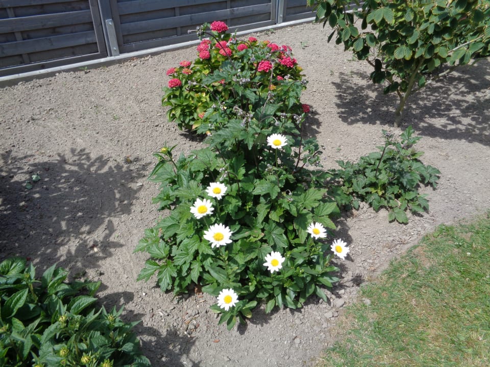 Gartenanlage Ferienhaus Corinna