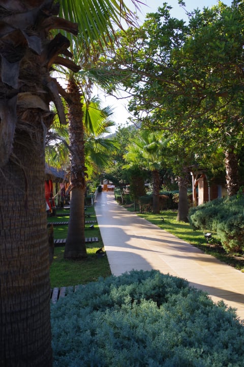Gartenanlage Latanya Park Resort