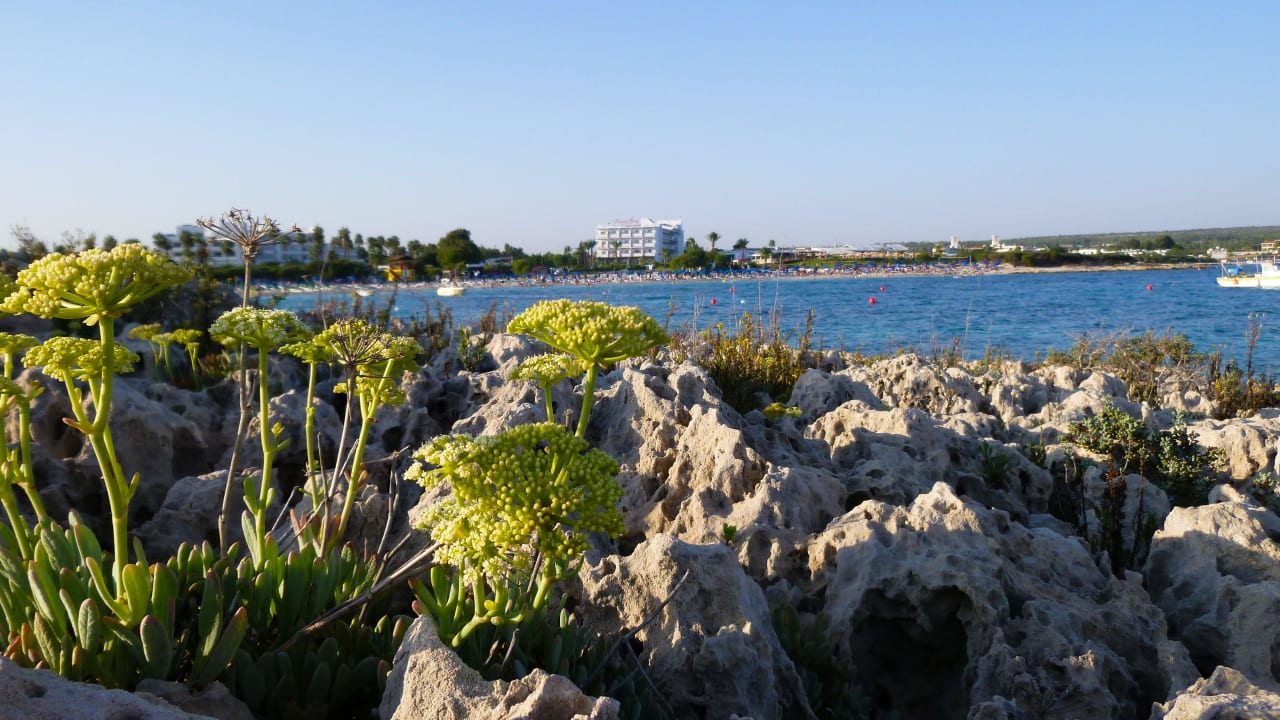 Am Rand der Bucht Asterias Beach