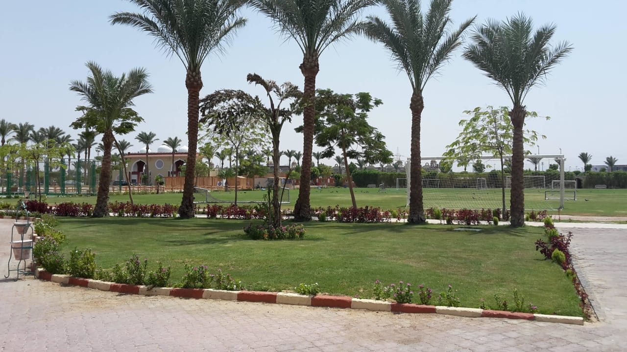 Fussballfeld Sentido Mamlouk Palace Resort