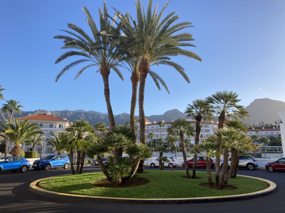 Ausblick Hotel Riu Palace Tenerife
