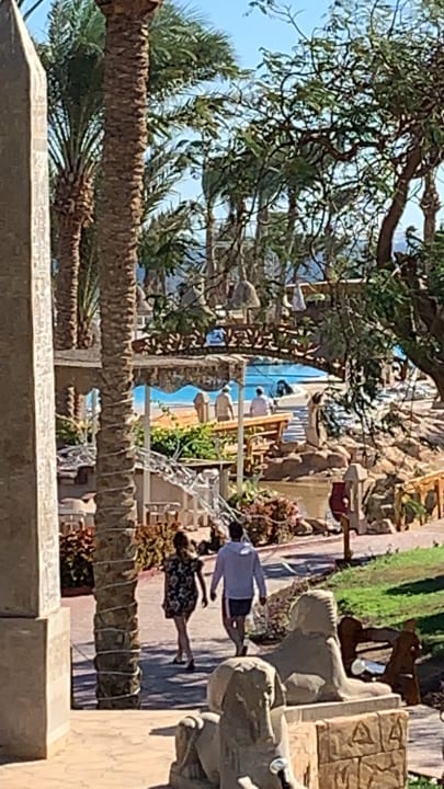 Ausblick Parrotel Beach Resort