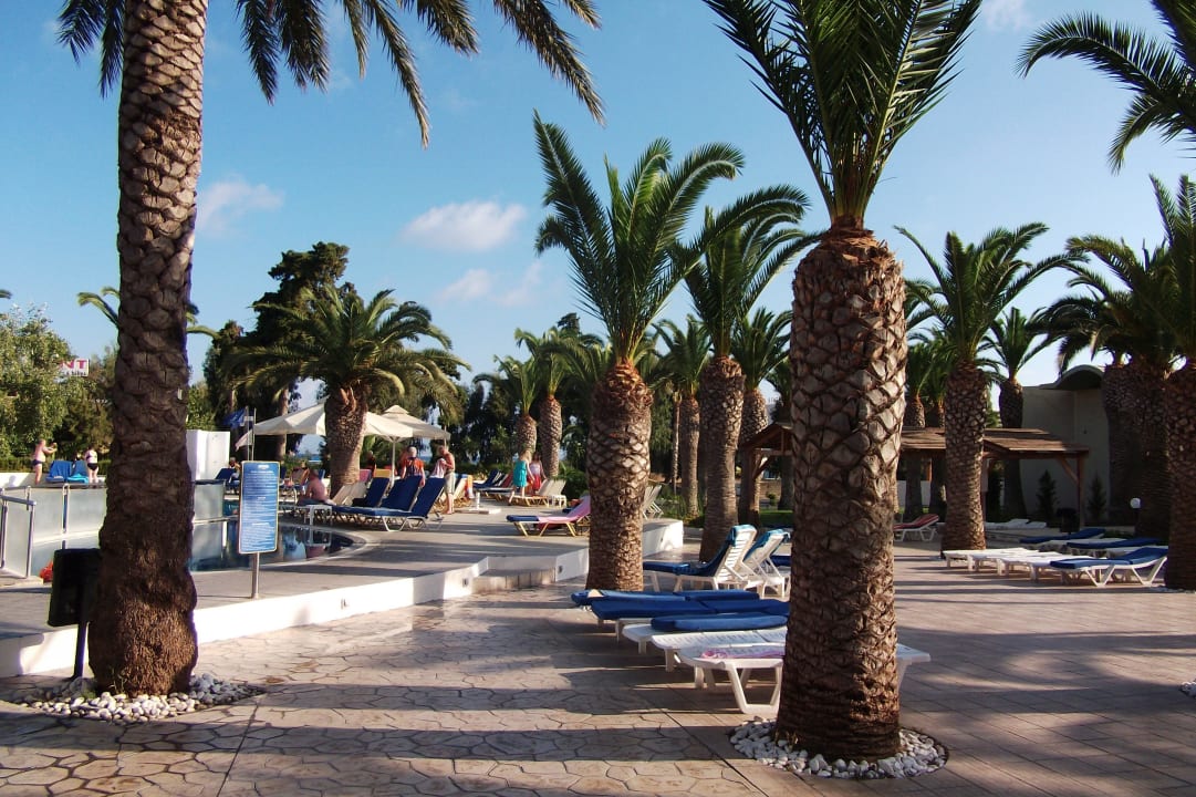 Gartenanlage zunm Pool Kipriotis Hippocrates Hotel