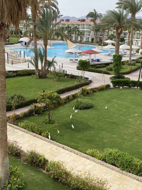 Gartenanlage Amarina Abu Soma Resort & Aquapark