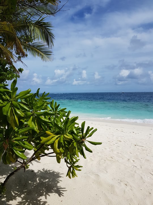 Strand Adaaran Club Rannalhi - All Inclusive