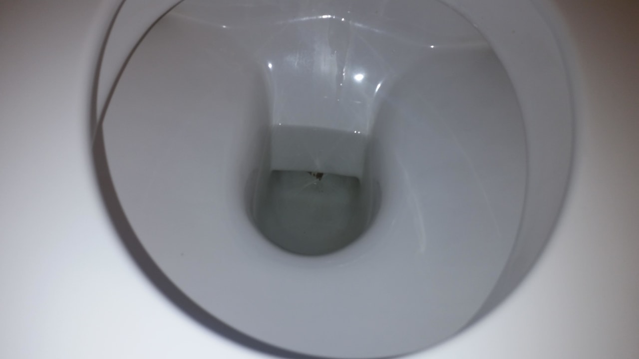 Fäkalien Toillette  Park Plaza Berlin