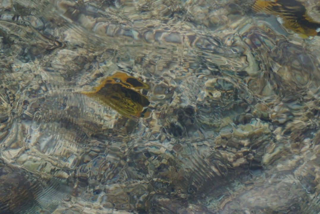 Strand Novotel Marsa Alam Beach Resort