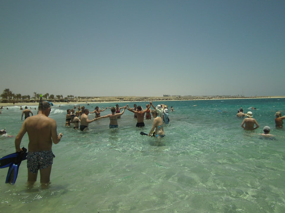 El Malikia Abu Dabbab Resort Marsa Alam Malikia Resort Abu Dabbab