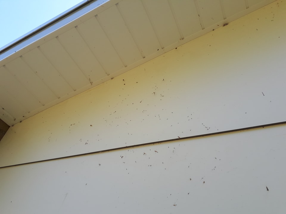 Außenansicht Het Grootslag Vakantiepark