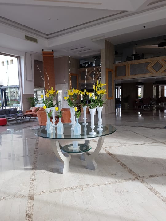 Lobby Beach Albatros Resort